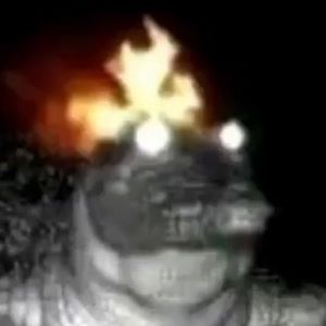 Meet your Posher, Jose